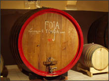 Una botte grande di Foja Tonda