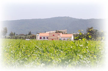 Campo alla Sughera