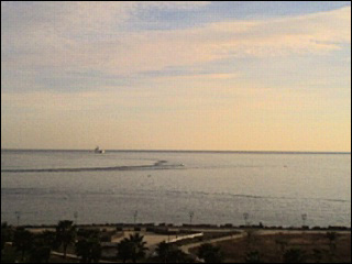 Veduta da Palermo