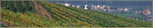 Azienda Agricola Dea-Rivalta