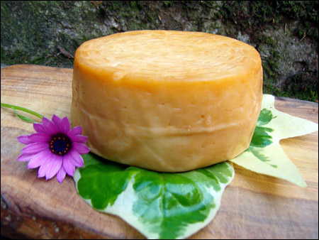 Caciobirraio