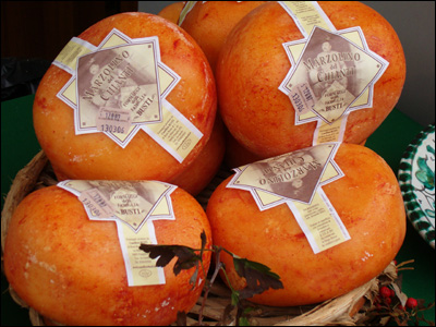 Marzolino del Chianti