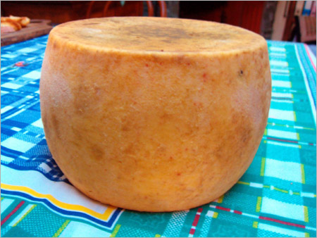 Forma di Pecorino del Beigua
