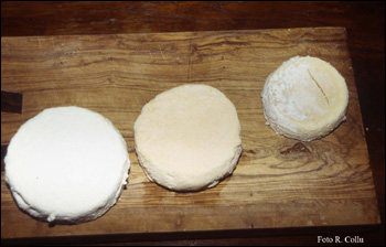 Robiola di Roccaverano