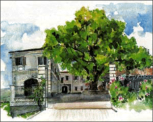 Azienda Agricola e Vitivinicola Gradnik Gradimiro E.