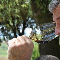 Stefano Tesi