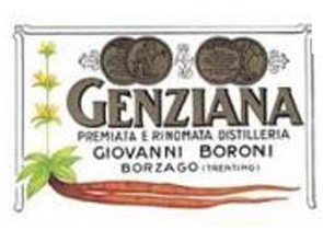 Boroni Giovanni - Distilleria Genziana