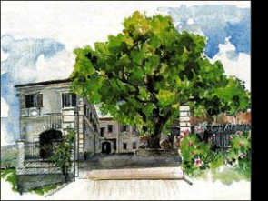 Gradnik Azienda  agricola e vitivinicola