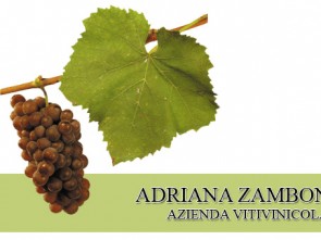Zambon Adriana  Azienda Vitivinicola