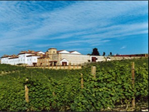 Poderi Aldo Conterno