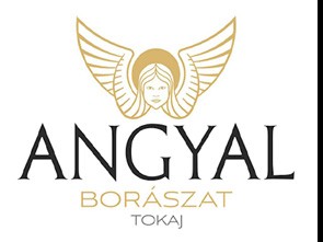 Angyal Boràszat