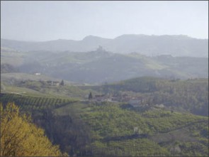 F.lli Abrigo Azienda Agricola 