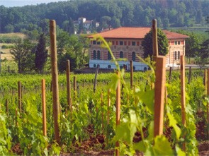 Betti Azienda Agricola