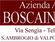 Boscaini Azienda Agricola