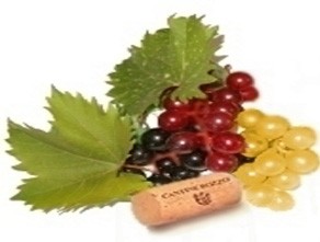 Cantine Bozzo