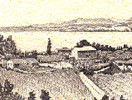 Cà dell'Ora Azienda Agricola