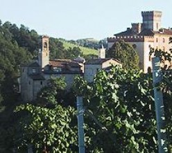 Camerano Azienda Agricola 