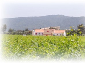 Campo alla Sughera Azienda Vitivinicola