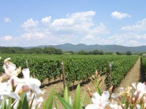 Campo al Noce