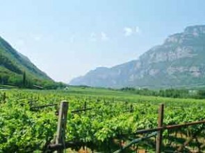 Cantina Valdadige 