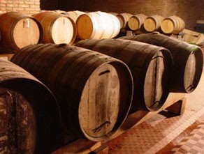 Fattoria Casalbosco