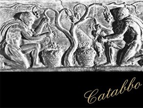 Catabbo