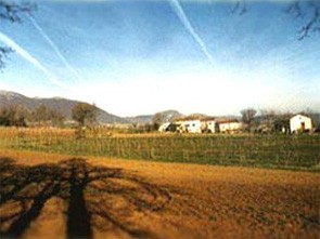 ColleStefano Azienda Agricola
