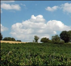 Colombaia Azienda Agricola