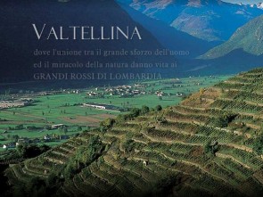 Salis 1637 Azienda Agricola SRL