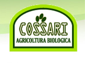 Cossari Andrea