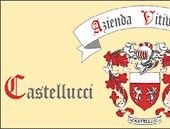 Castellucci Elisabetta Azienda Vitivinicola 