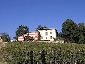 Fattoria di Caspri