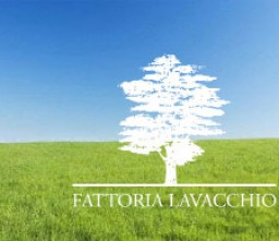 Fattoria Lavacchio