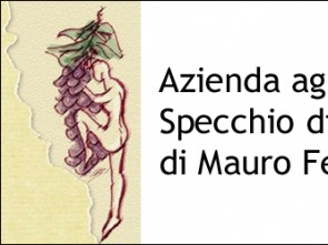 Specchio di Vitae di Mauro Feola Azienda Agricola 