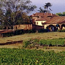 Tenuta Grillo 