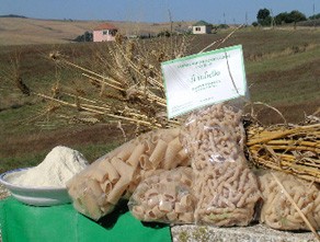 Il Tufiello Azienda Agricola