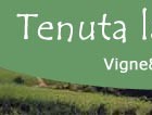 Tenuta La Marchesa