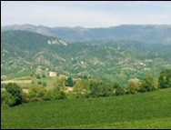 Le Vigne di Alice