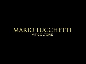 Mario Lucchetti  