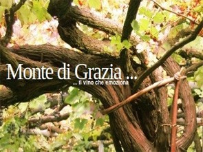 Monte di Grazia Azienda Agricola