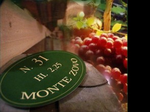 Montezovo