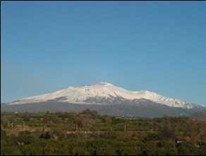Nemea Azienda Agricola Vitivinicola