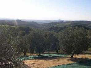 Campi di Fonterenza Azienda Agricola