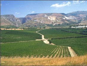 Planeta Aziende Agricole