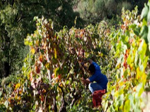 Presa Azienda Agricola