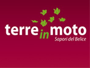 TerreinMoto Srl