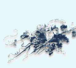 Valpane