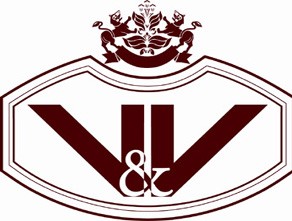 V&V