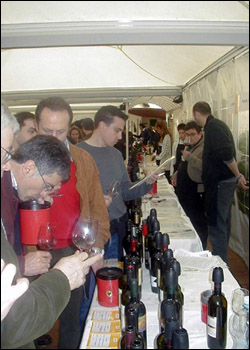 Centovini - Momenti della degustazione