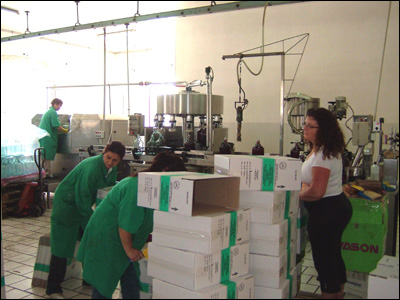 Donne del Vino al lavoro nelle Cantine di Locorotondo